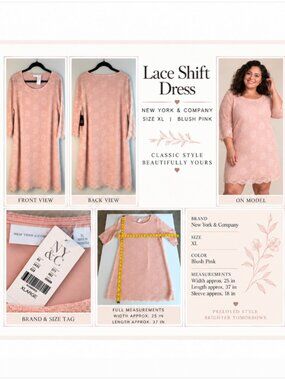 NWT New York & Company Blush Pink Lace Shift Dress XL